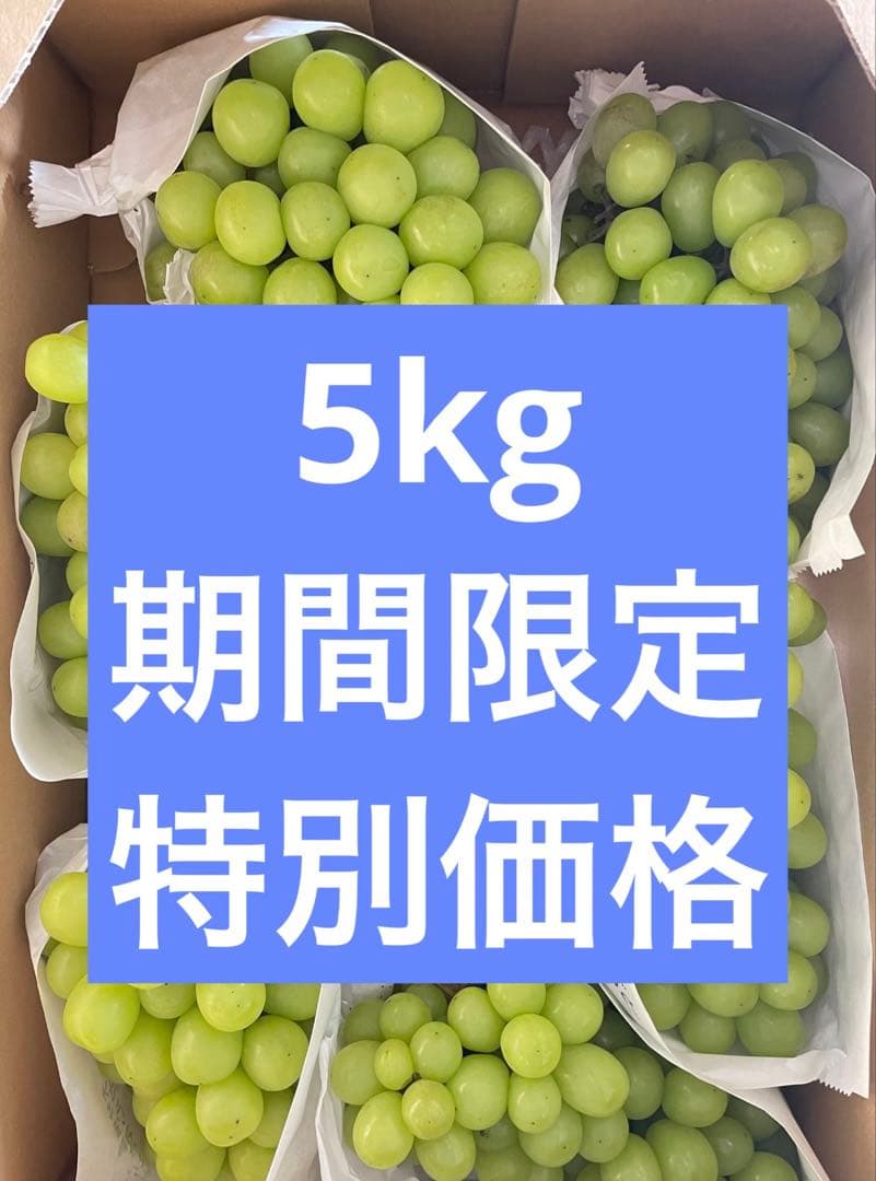 【数量限定】果物　シャインマスカット ぶどう　葡萄　5kg 房入り　訳あり