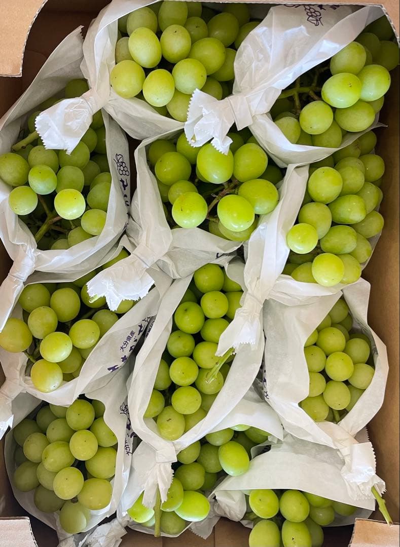 【数量限定】果物　シャインマスカット ぶどう　葡萄　5kg 房入り　訳あり