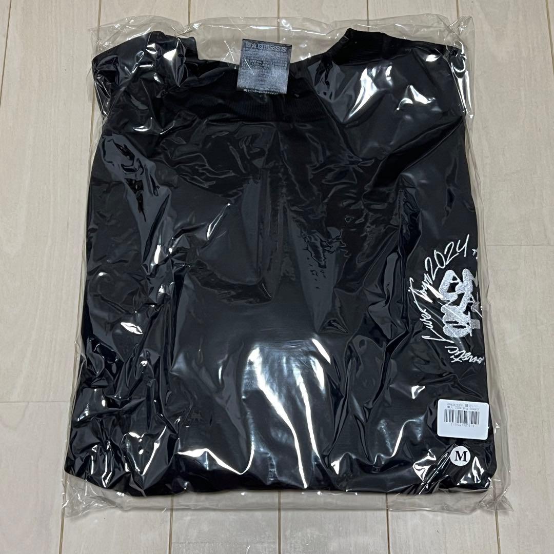 ねるぞうさま専用amazarashi騒々しい無人 2024 M