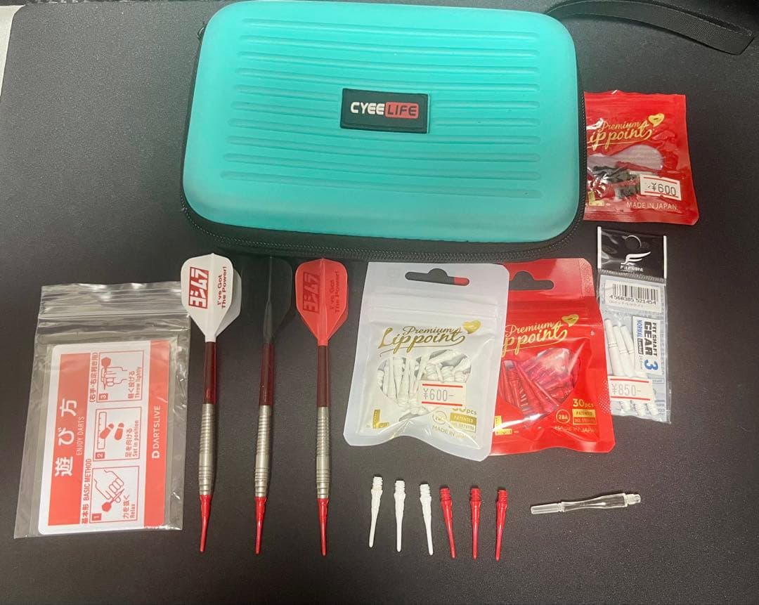 ダーツセット ハードケース付き