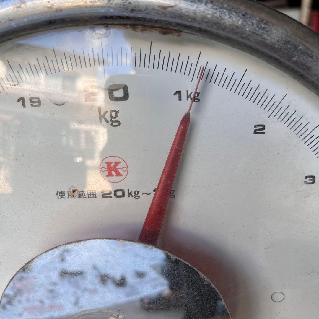 天然香茸‼️広島産　1.0kg 10月12日採りたて　コウタケ　香茸　松茸①