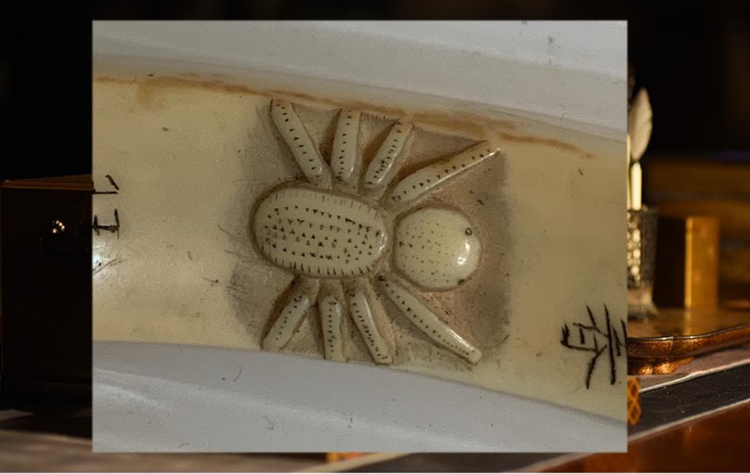 ●石見根付 ●蜘蛛 ●猪牙 古牙 獣牙 時代物 骨董 いのしし