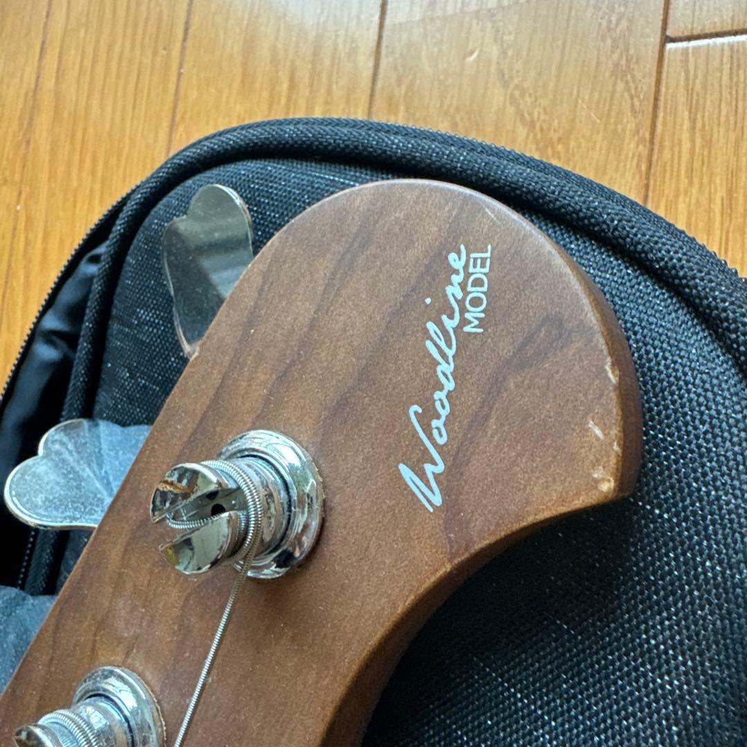 Bacchus ベース　弦、ケース付き