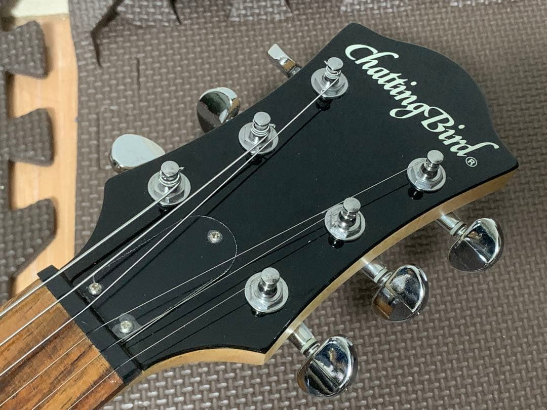 Chatting Bird Mockingbird モッキンバード hide