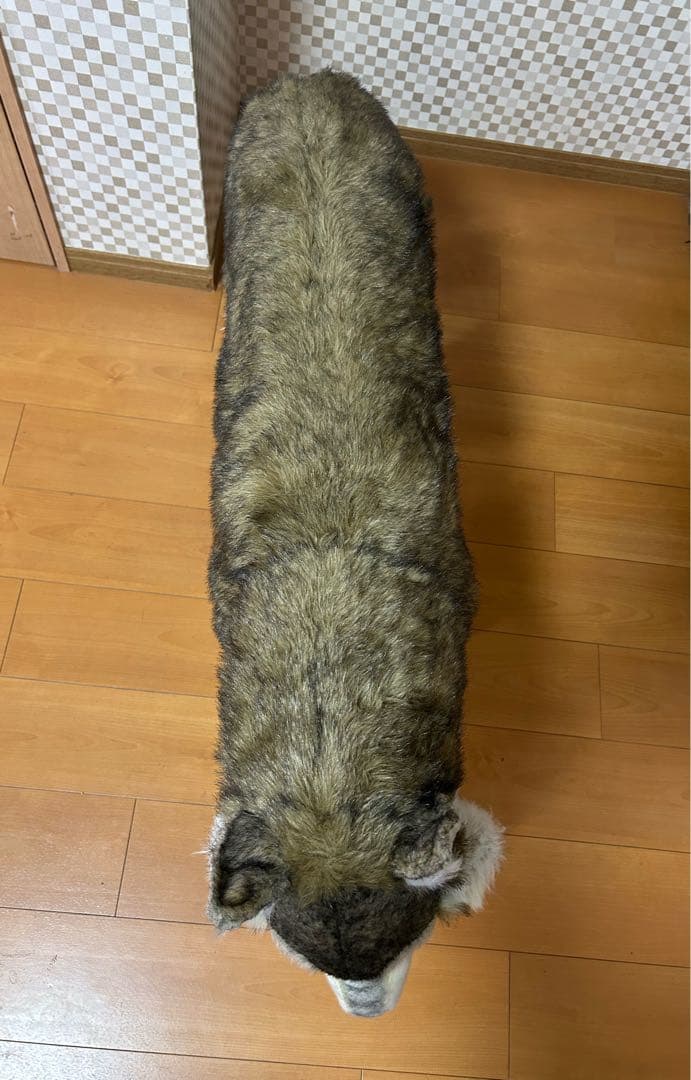 引取り限定 HANSA シンリンオオカミ リアル　ぬいぐるみ