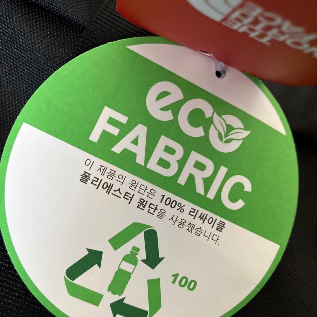 THE NORTH FACE ボストンバッグ Eiger, Alps