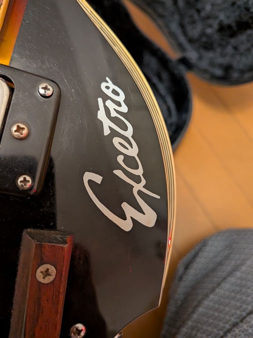 栗*す様 バイオリンベース　excetro テスコ　TEISCO 専用ハードケー