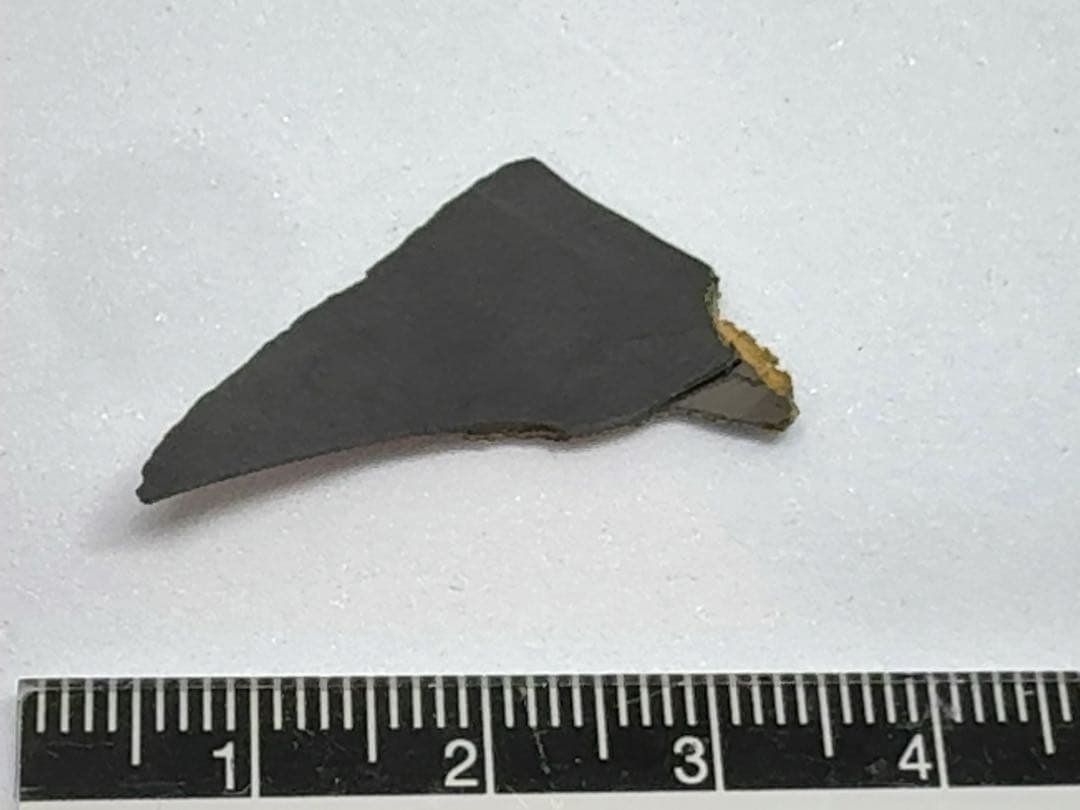 F117ステルス攻撃機(82-0806)　被撃墜機破片？ 1/144 模型付き