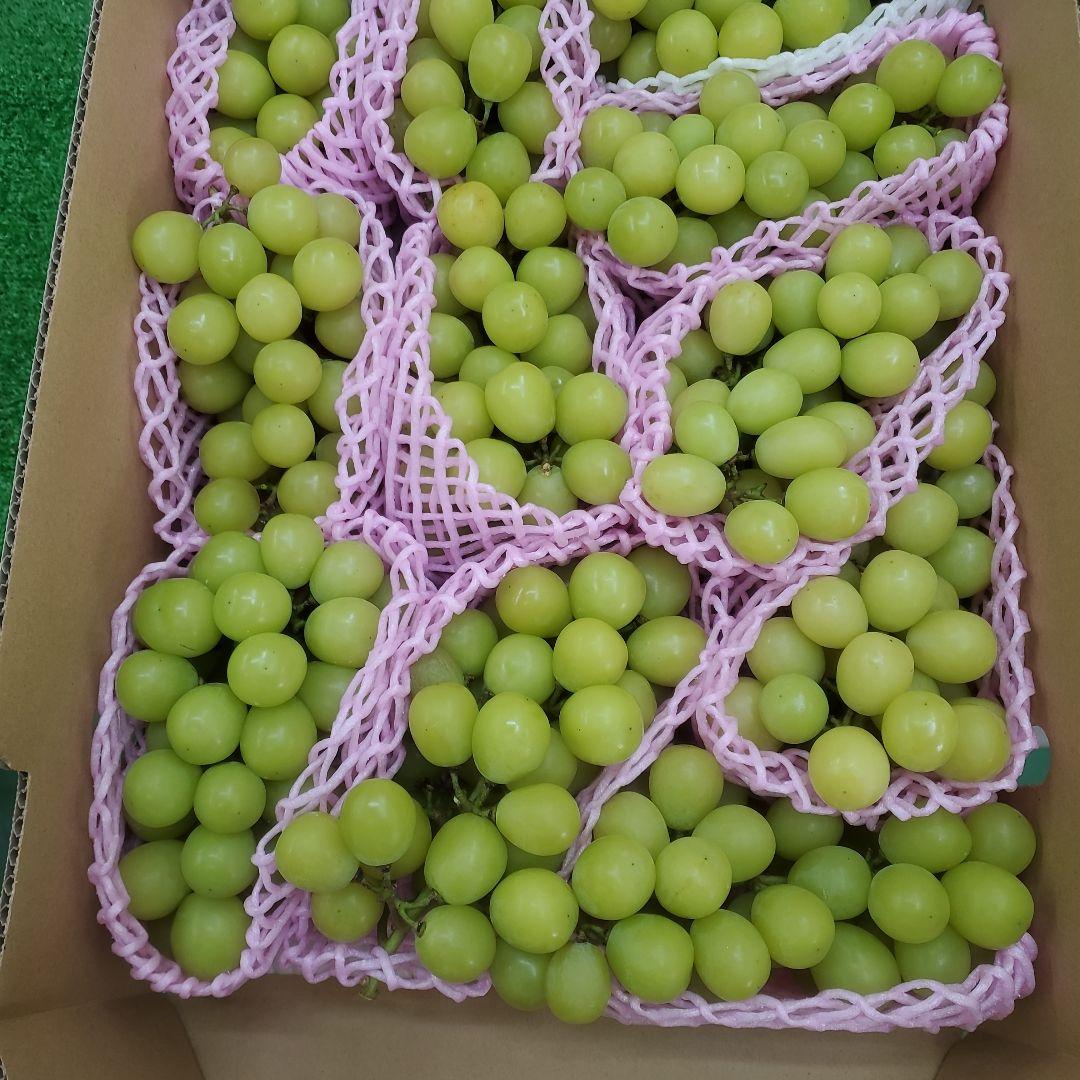 4️⃣ 山梨県産 シャインマスカット 11房入り 箱込み5.3キロ