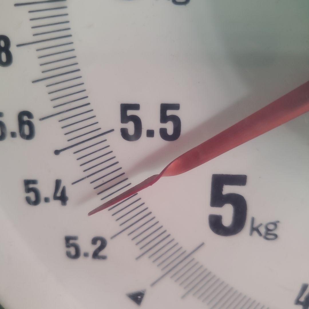 4️⃣ 山梨県産 シャインマスカット 11房入り 箱込み5.3キロ