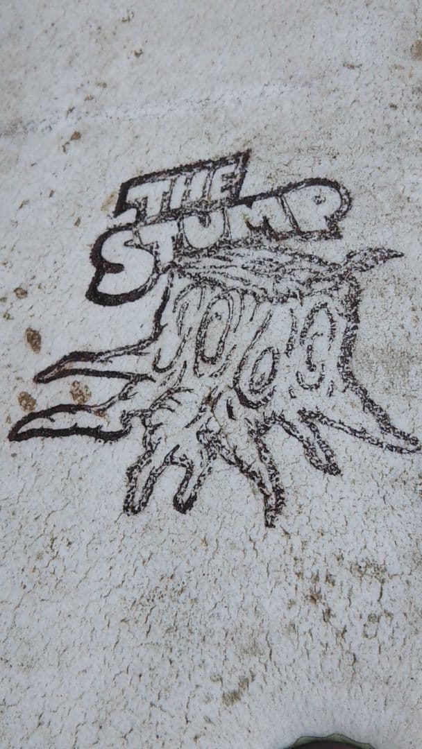 キャッチサーフ オデシー ソフトボード