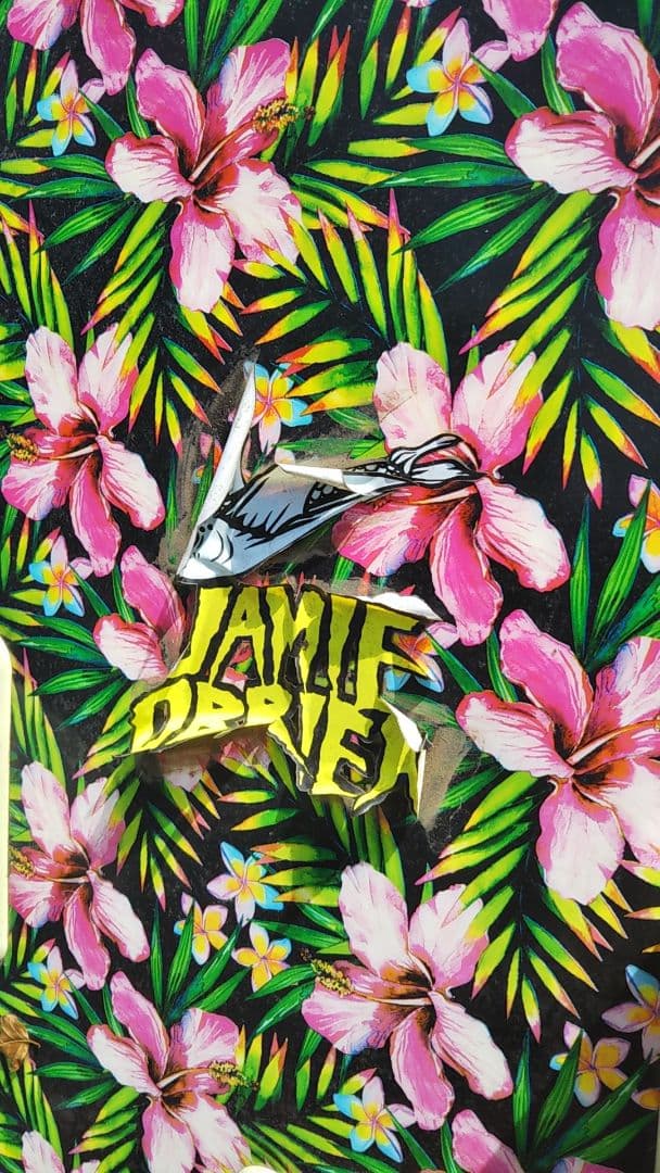 キャッチサーフ オデシー ソフトボード