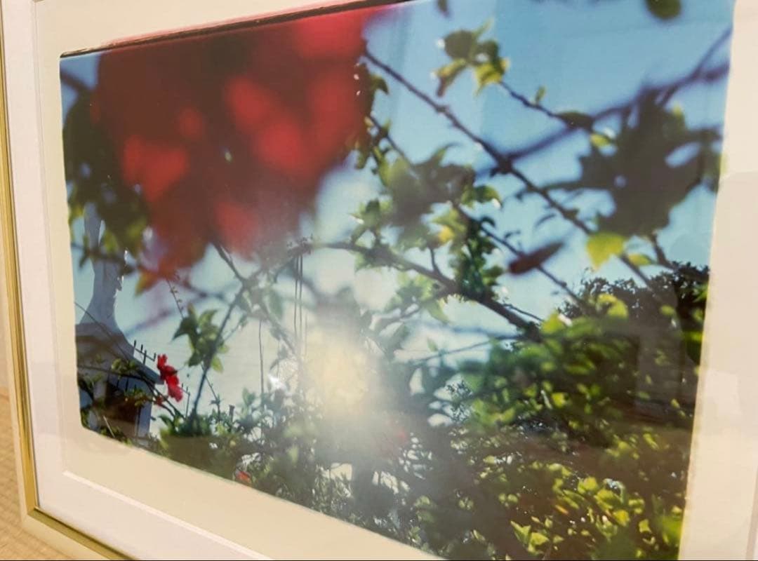 蜷川実花　BABY BLUE SKY - 1