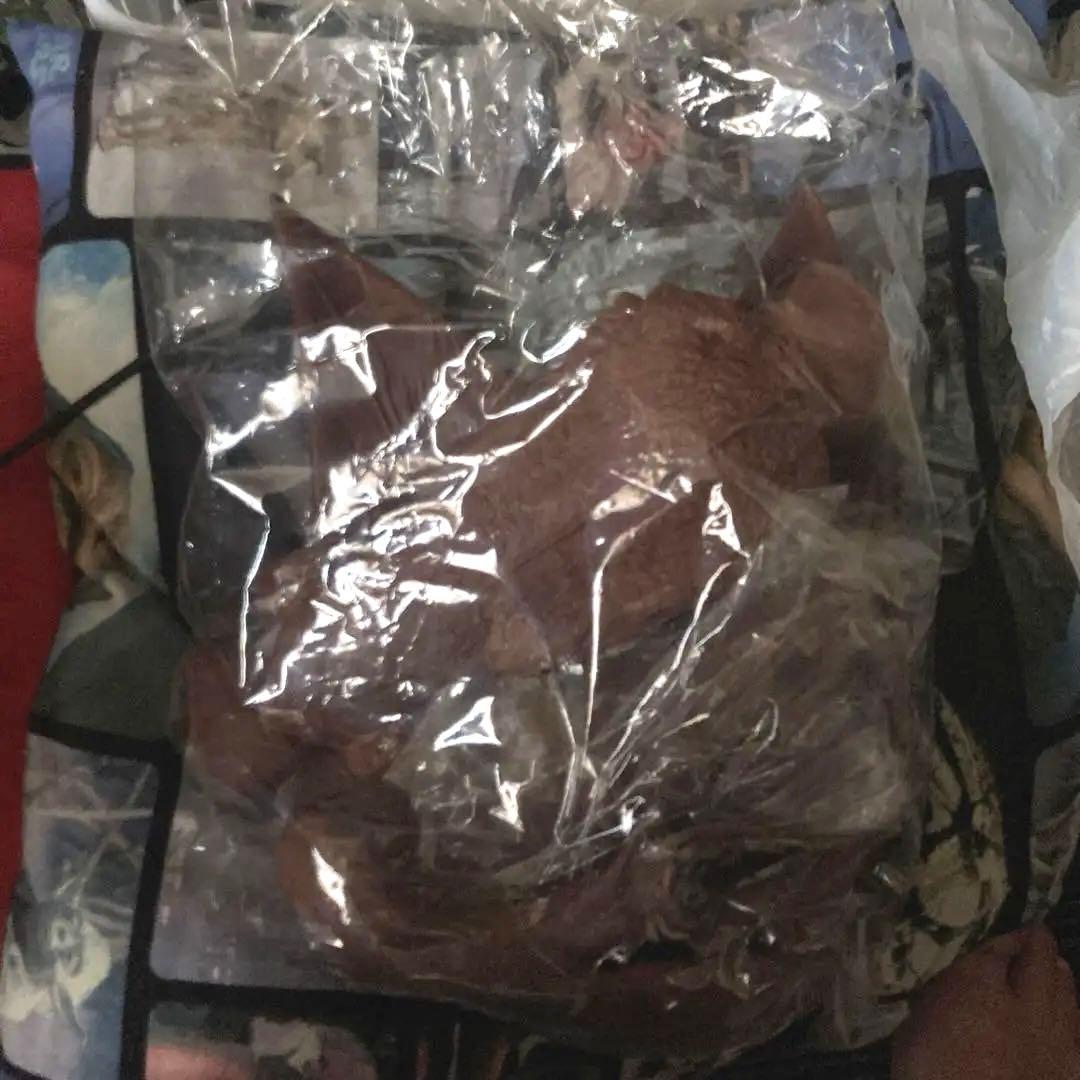 空の大怪獣ラドン（ツクダホビー）未開封未組立ソフビキット　60/1 デカイ