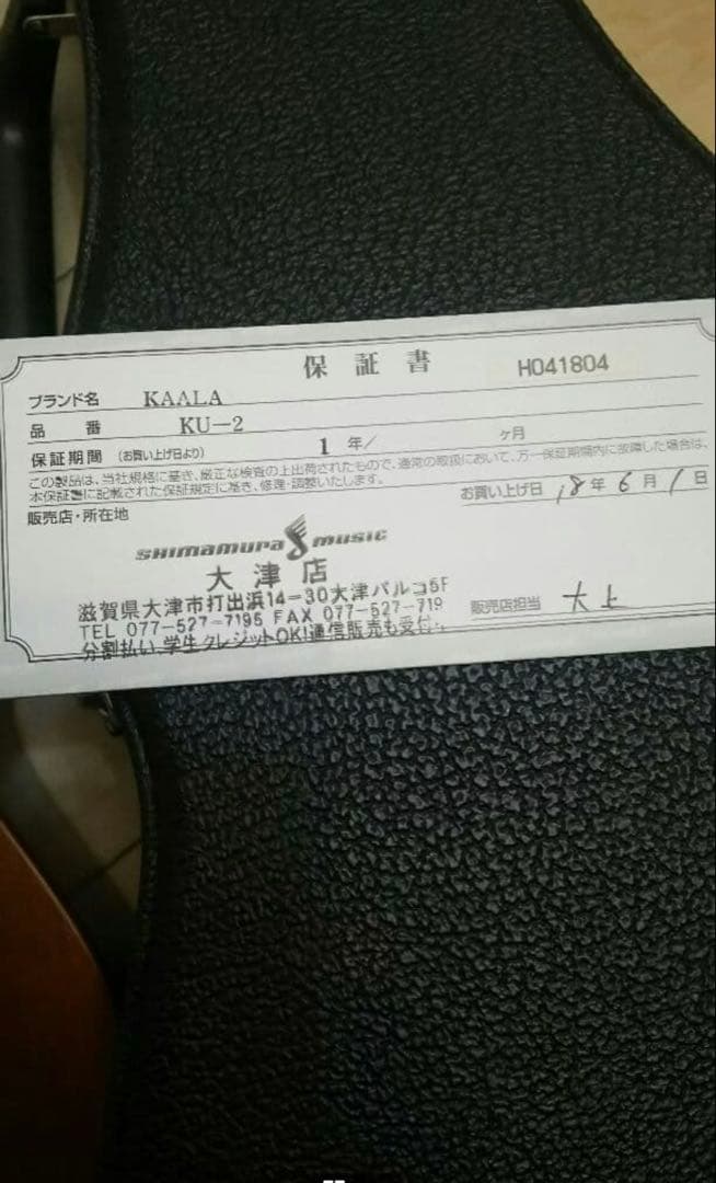 弦楽器 Kaala ku-2