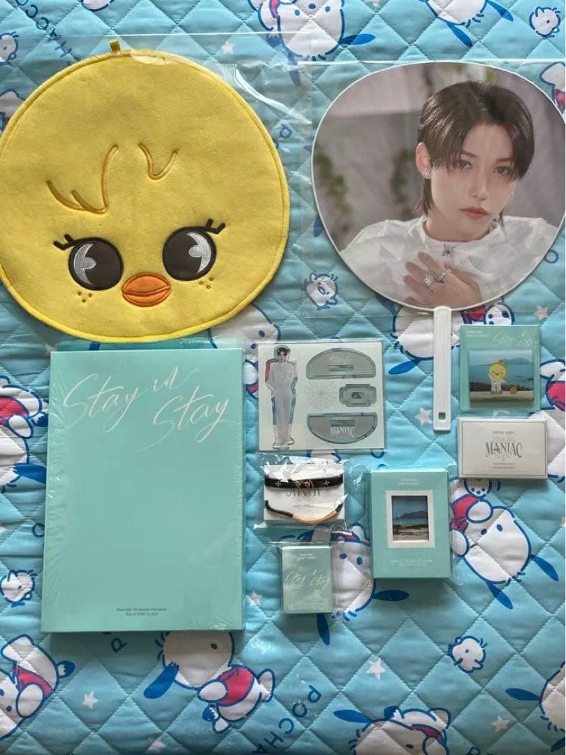 Stray Kids スキズ 'Stay in STAY' in JEJU