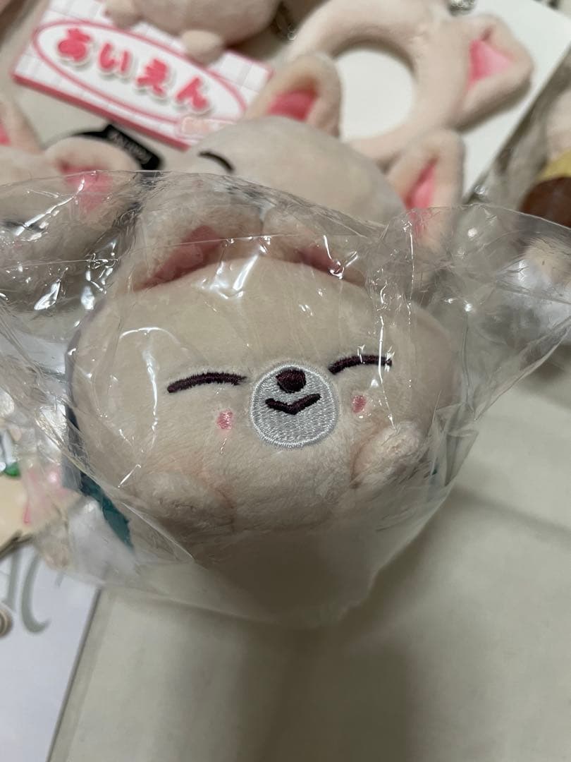 スキズ straykids アイエン　フォクシニー　まとめ　セット