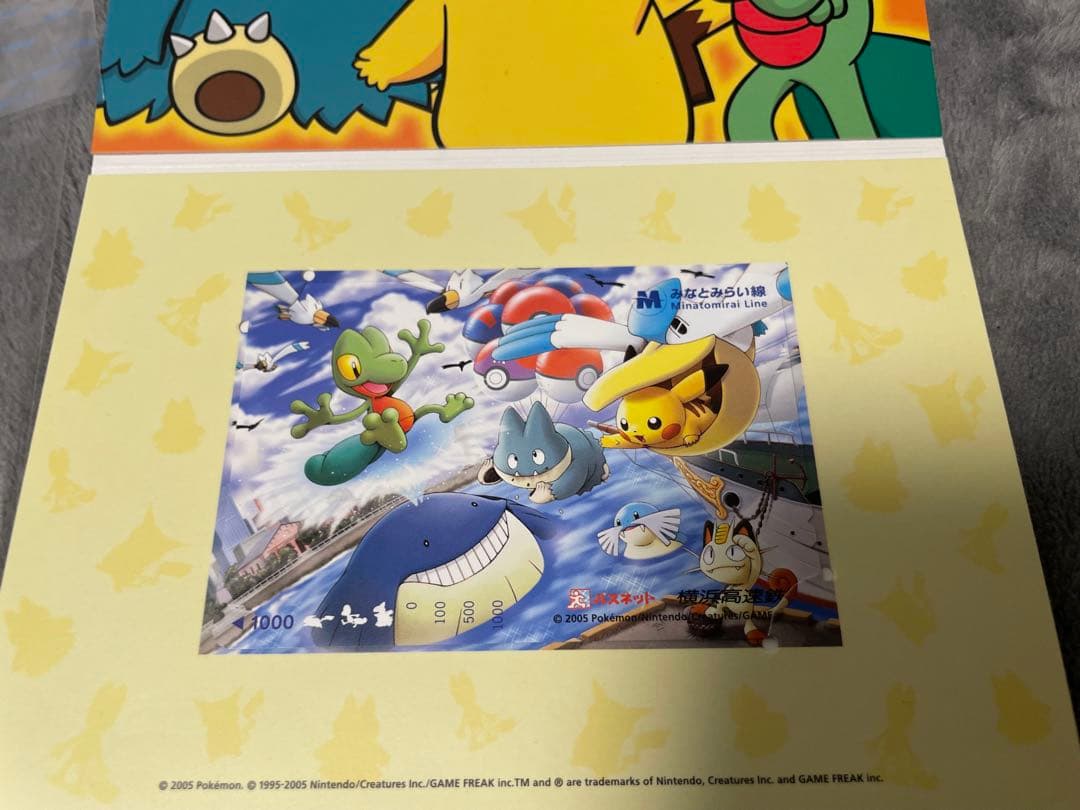 【新品】ポケモンカード　ポケパーク　ポケモンパスネット　2005年　希少