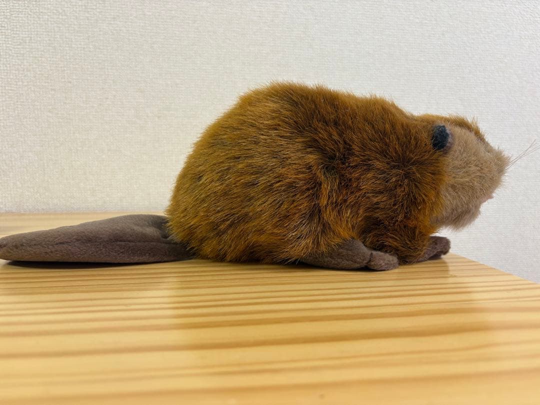 SUPER BEAVER ビーバーちゃん　ぬいぐるみ