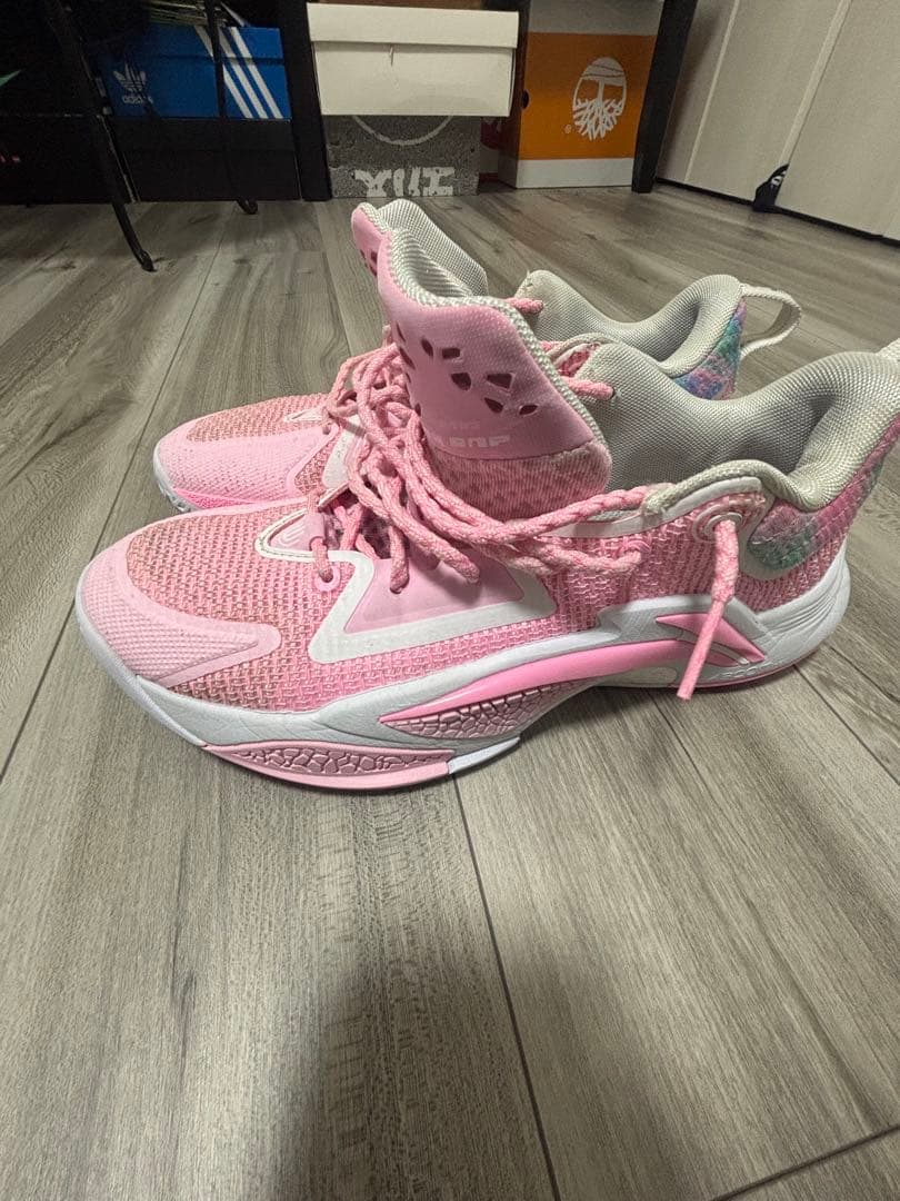 リーニンバッシュ26.5