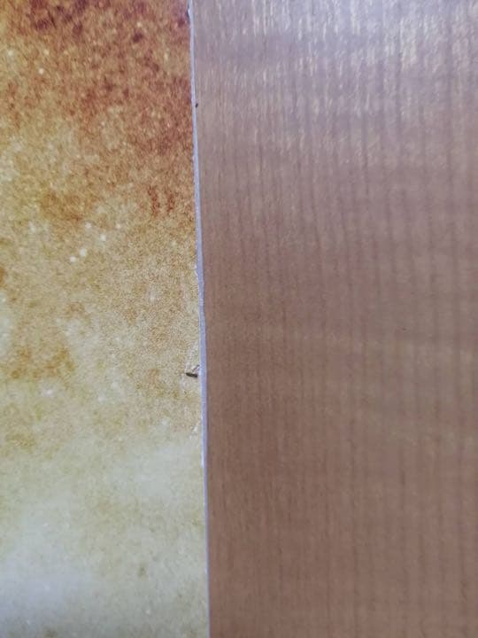 映画 るろうに剣心 レッドカーペット　イベント時使用パネル