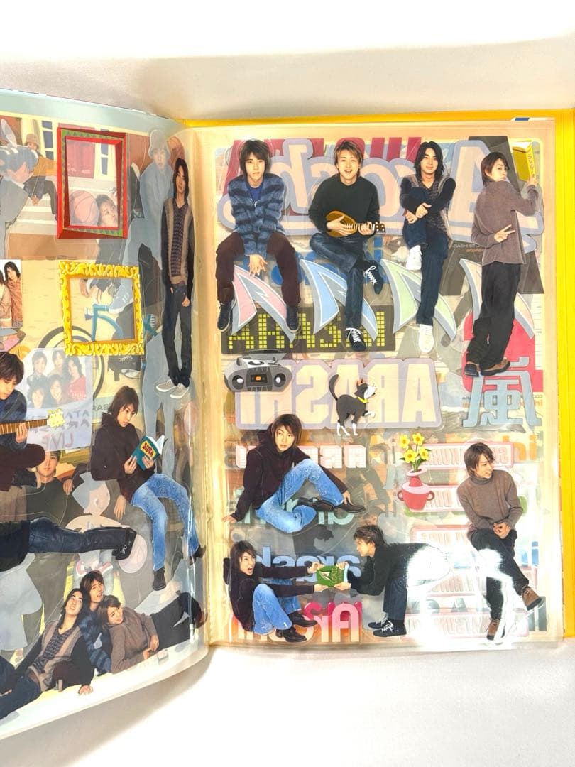 嵐 あたらしあらし 2003 新嵐 atarashiarashi パンフレット