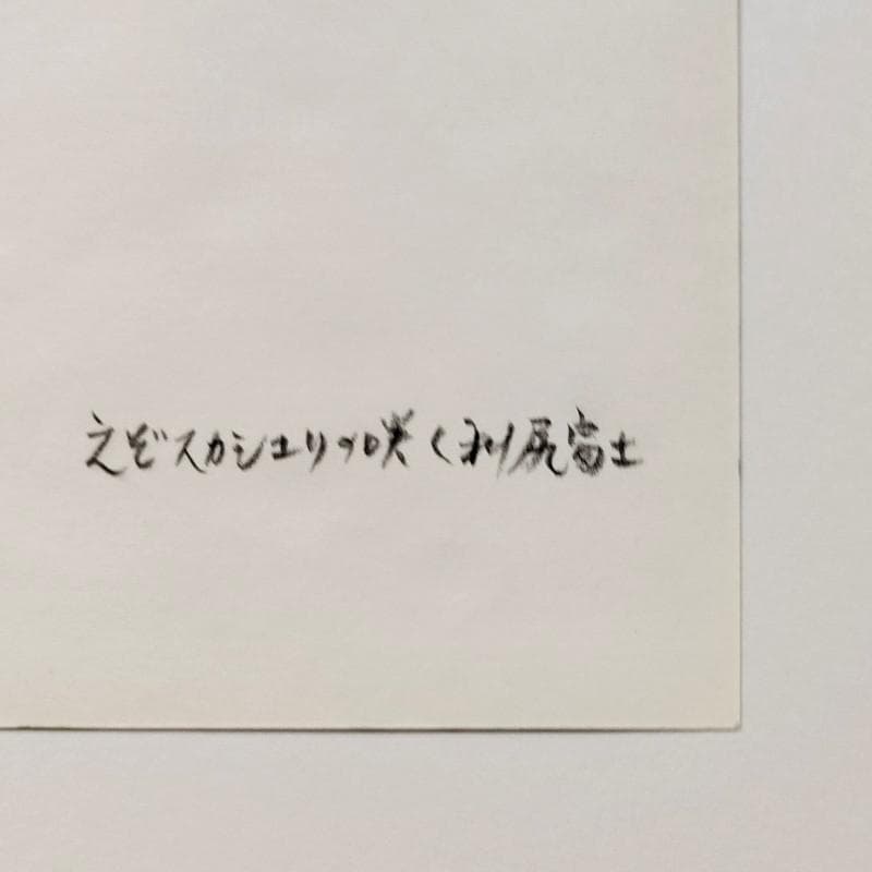 ☆ 境　肇 ☆「えぞスカシユリ咲く 利尻富士」水彩画　大衣　新品額！