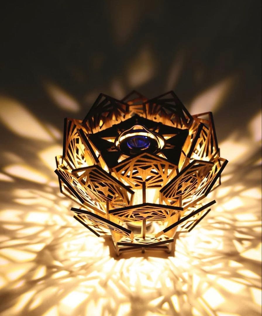 【新品入手困難】WHAT WE WANT限定　悪魔の実 (神代)＋スタースタンド