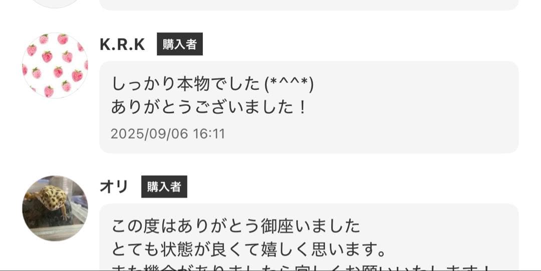 【正規品】ラブブ/3箱/未開封BOX/エナジー/Big into Energy