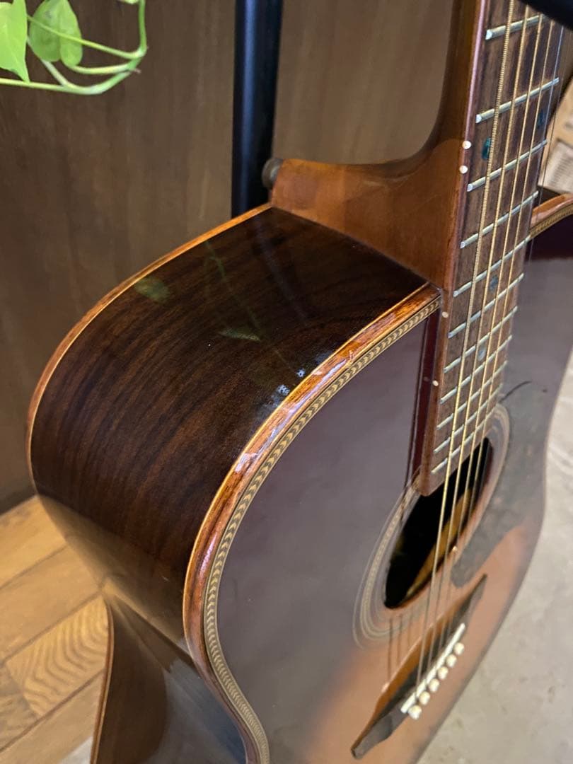 Crescent オール単板 CA-D-85BS L.R.Baggs lyric