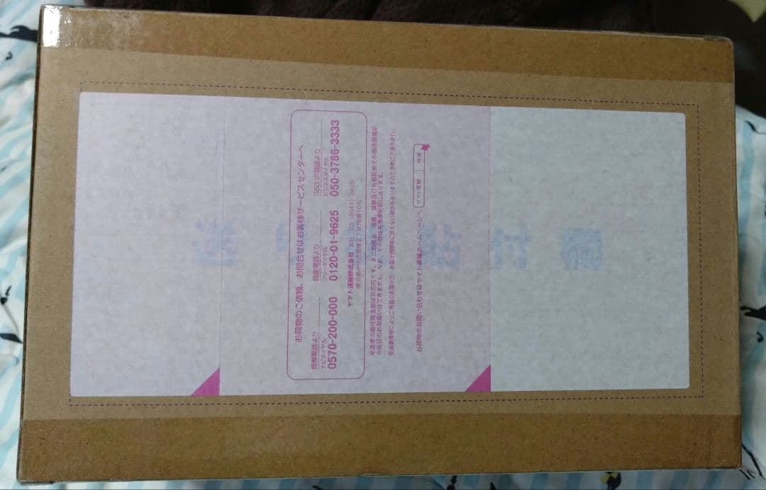 るかっぷ　ウマ娘　ミホノブルボン&ライスシャワーセット