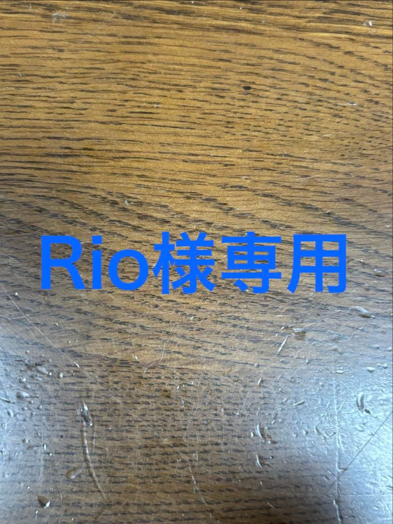 鉄道模型 Rio