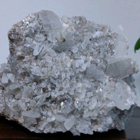 鉱物コレクション　セレナイト（透石膏）群晶