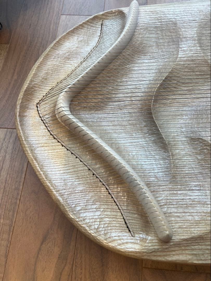 ソウルサウンドライアー63弦とケース