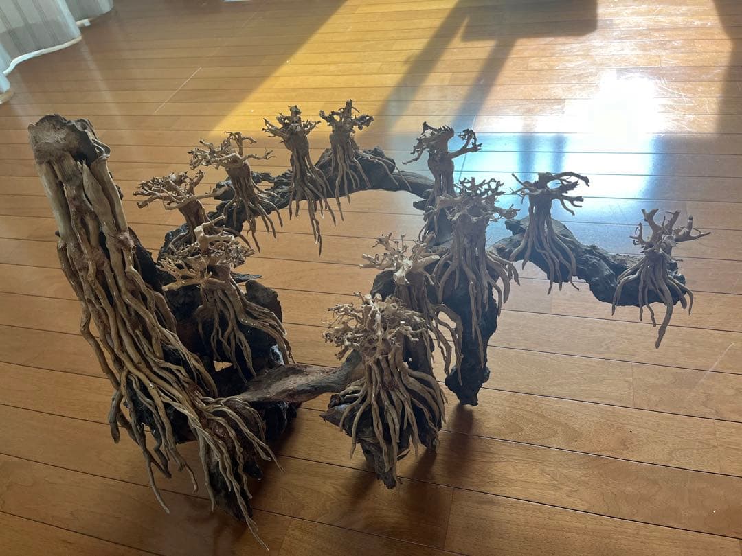 流木　空洞型バニヤン盆栽流木　水槽レイアウト【職人技】