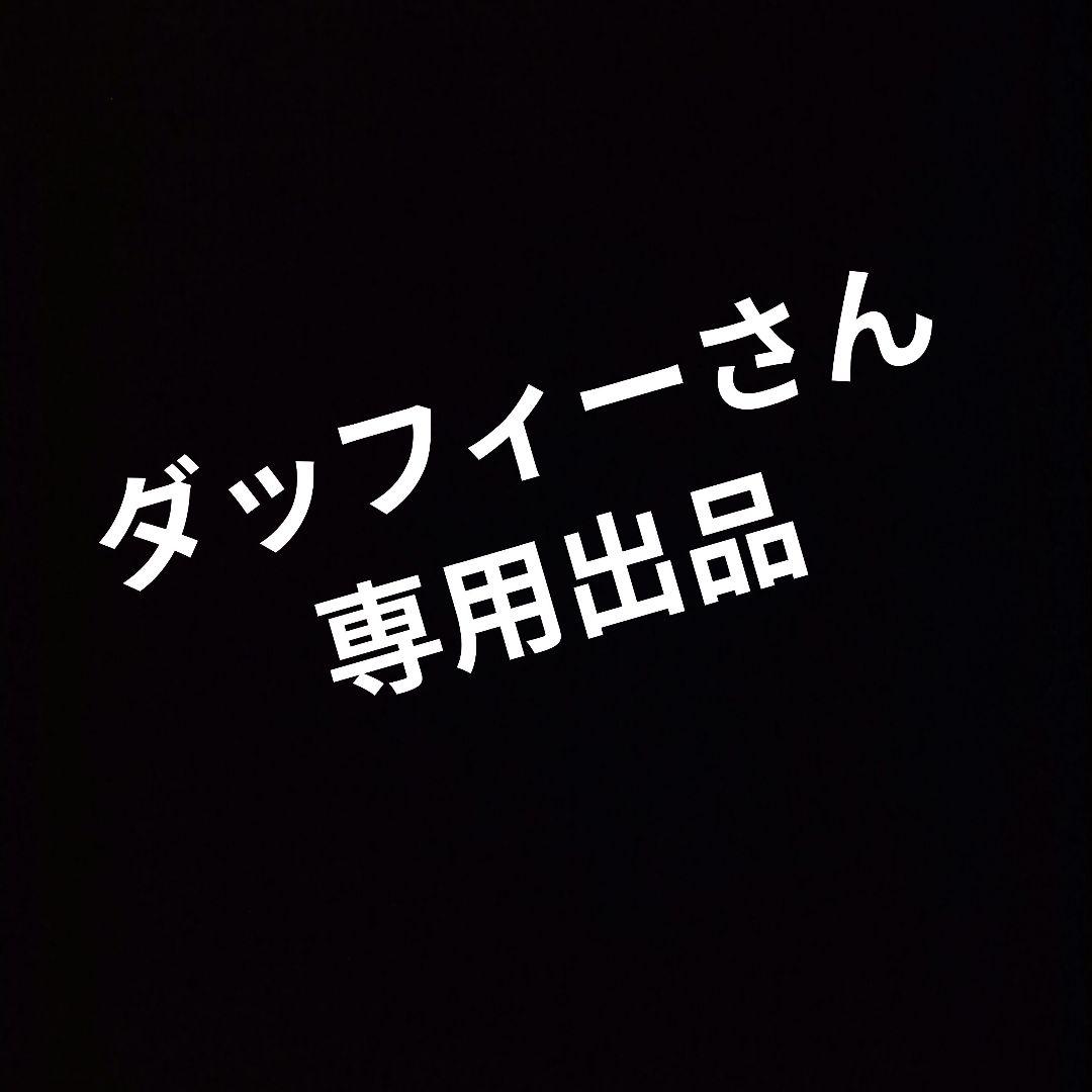 希少 ミッシェルガンエレファント 2003 LAST HEAVEN　パーカー