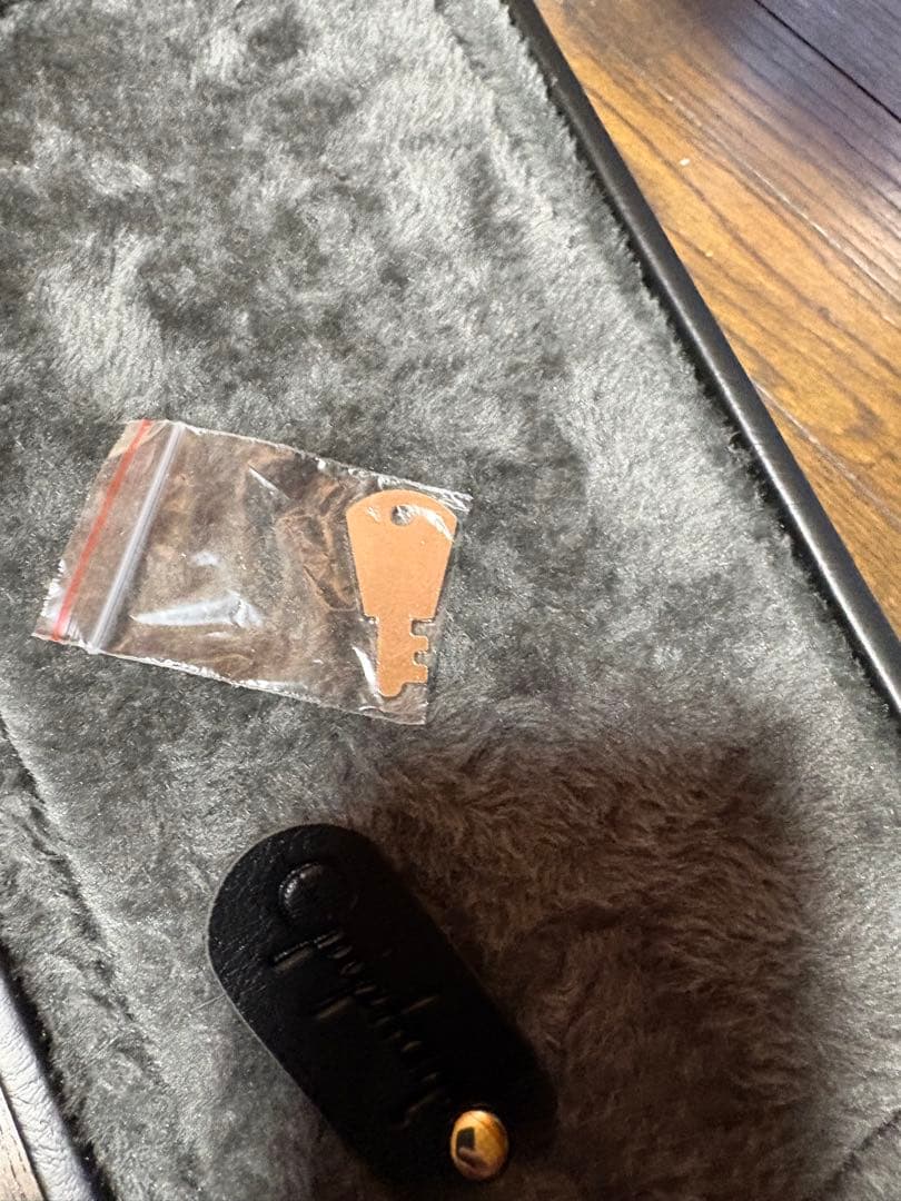 Epiphone 940-EB3CS 純正 EB-3 EB-0 専用ハードケース