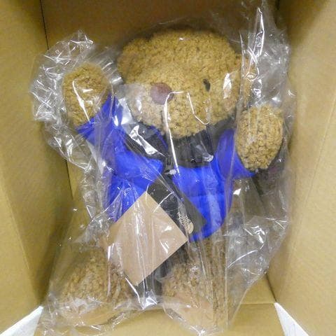 ザ ノースフェイス TNF ヌプシベア ぬいぐるみ 青 ブルー