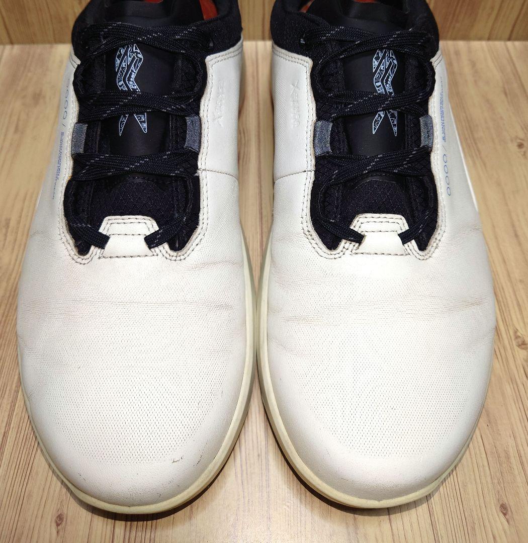 ECCO Golf　Biom H4　限定品　コラボモデル　サイズ42