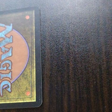 MTG　GuruLand（グルランド）　Plains　１枚