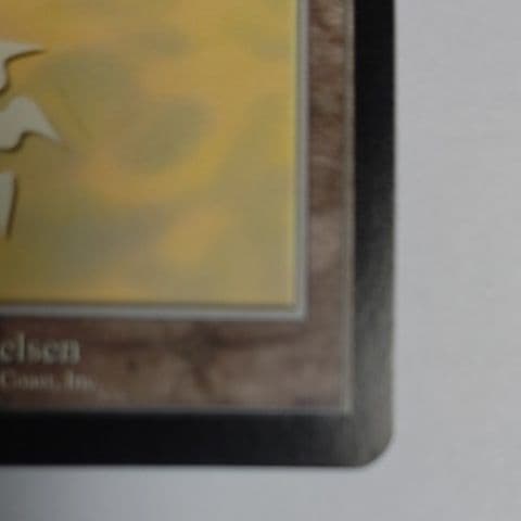 MTG　GuruLand（グルランド）　Plains　１枚