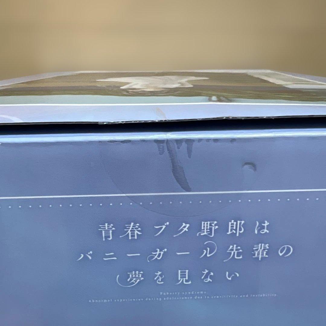 青春ブタ野郎はバニーガール先輩の夢を見ない 　牧之原翔子 渋谷スクランブル