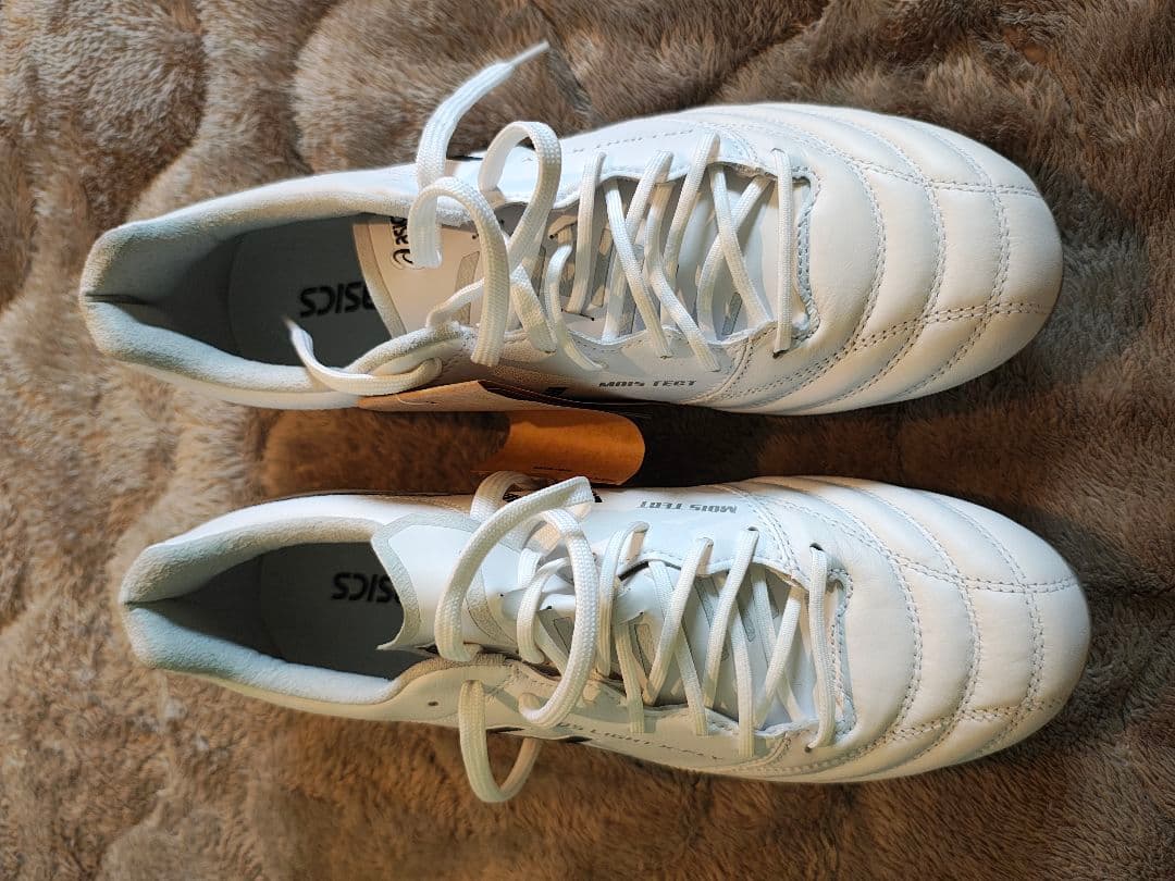 アシックス DS LIGHT X-FLY 5 27.0 cm 2E