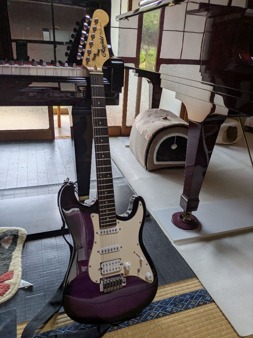 レイフィールド　Rayfield エレキギター パープル