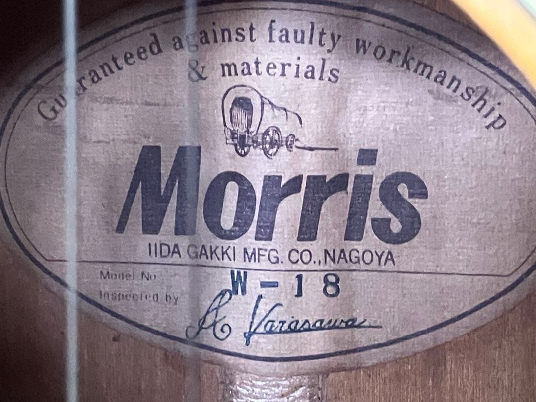 Morris W-18 アコースティックギター