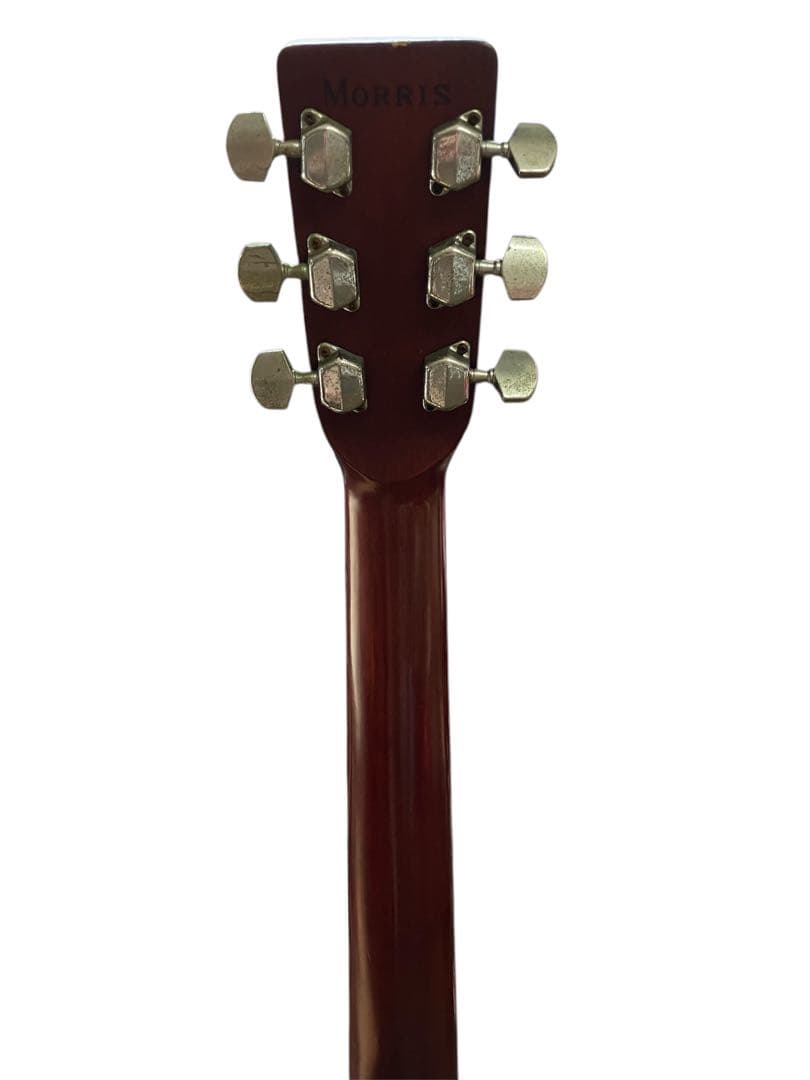 Morris W-18 アコースティックギター