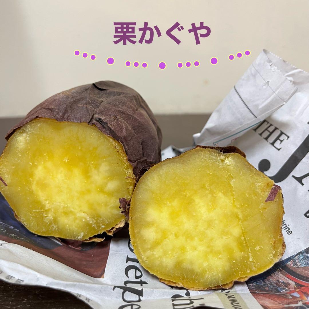 栗かぐや Lサイズ 20kg ホクホク系