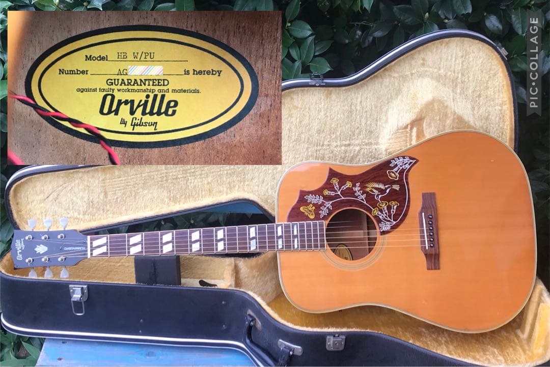 Orville by Gibson HB W/PU byギブソン