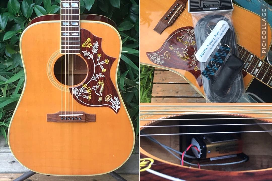 Orville by Gibson HB W/PU byギブソン