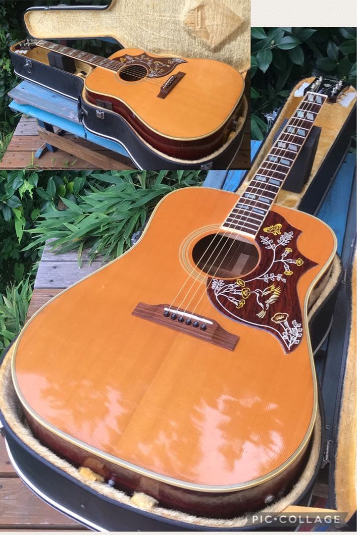 Orville by Gibson HB W/PU byギブソン